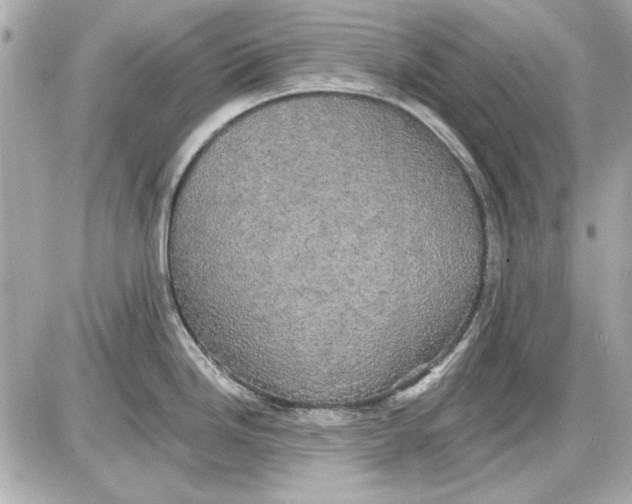 X0000087411246200705111843