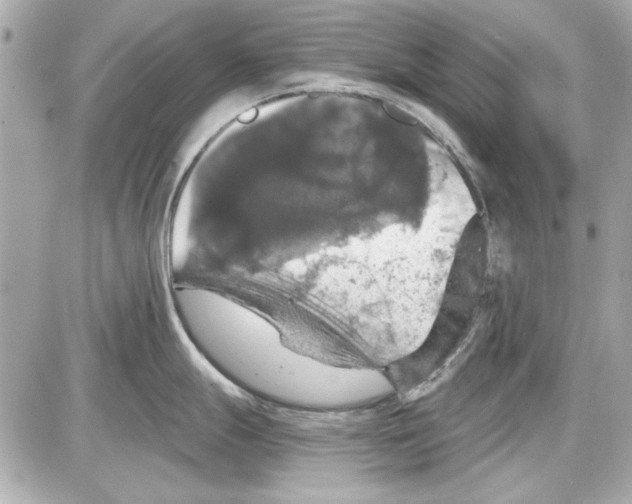 X0000087411247200705111843