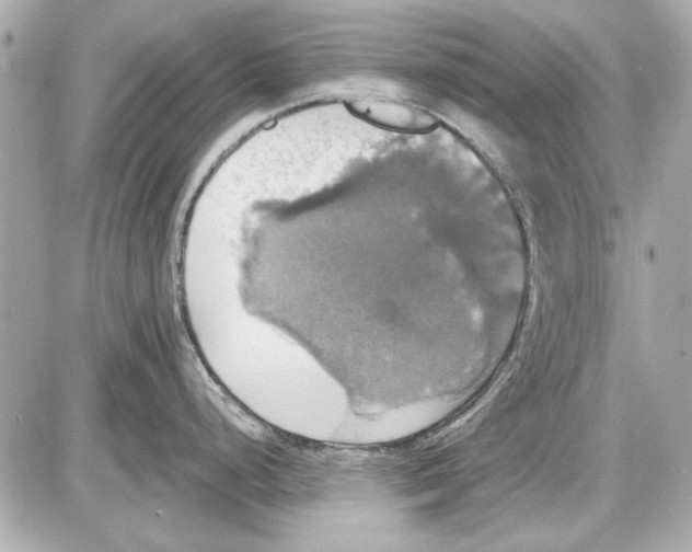 X0000087411248200705111843