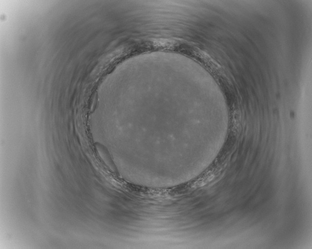 X0000087411249200705111842