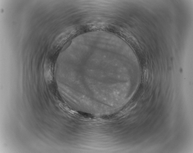 X0000087411250200705111842