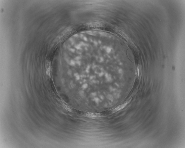 X0000087411251200705111842