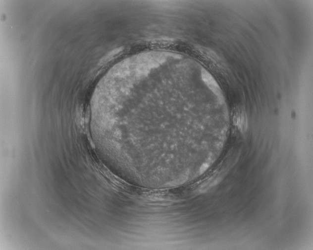 X0000087411252200705111842