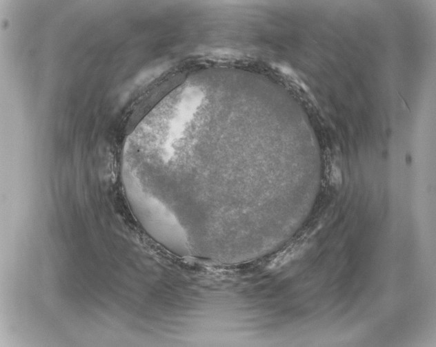 X0000087411253200705111842