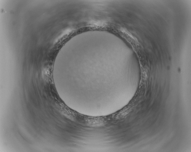 X0000087411254200705111842