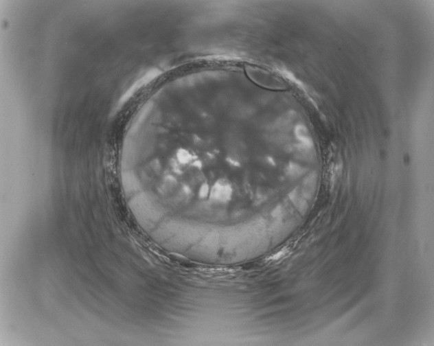 X0000087411255200705111842