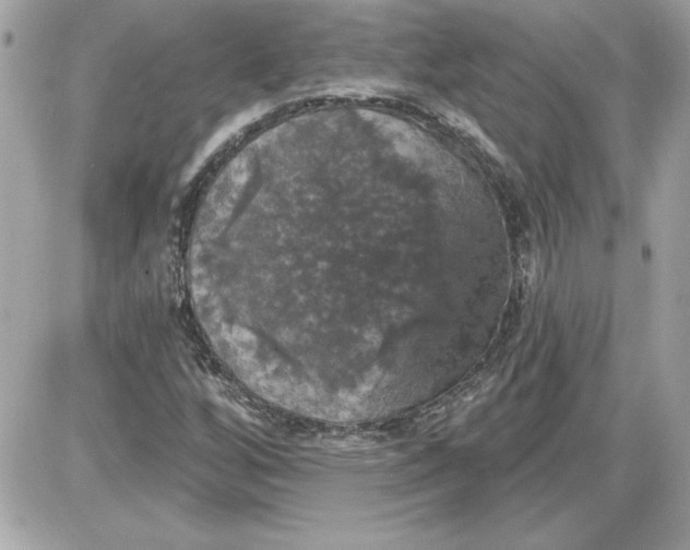 X0000087411256200705111842