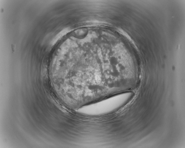 X0000087411259200705111842