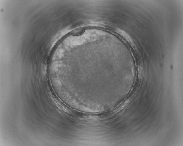 X0000087411260200705111842