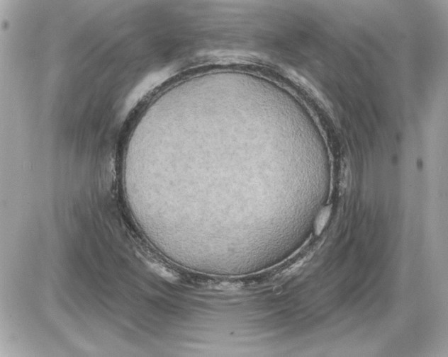 X0000087411261200705111842