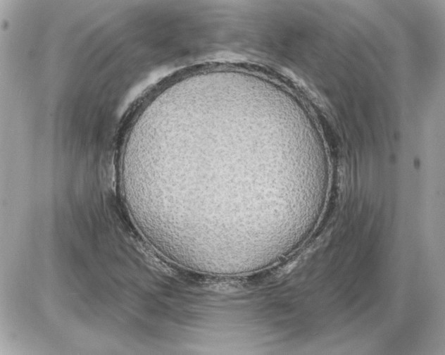 X0000087411262200705111842