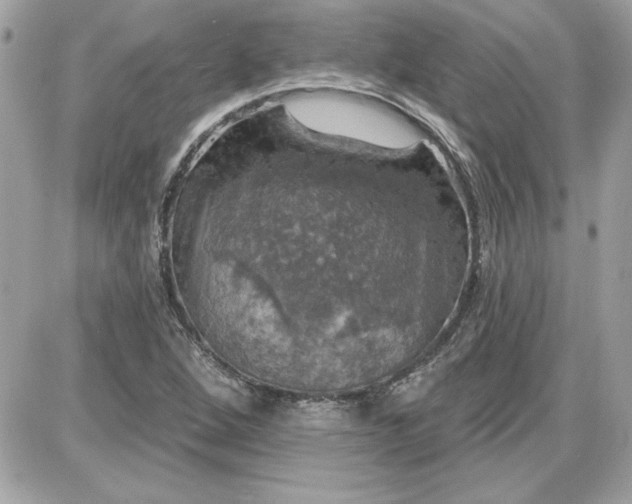 X0000087411264200705111842