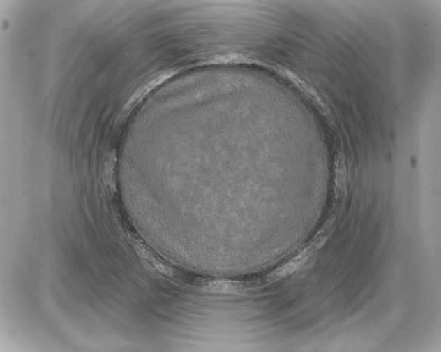 X0000087411265200705111842