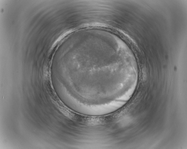 X0000087411266200705111842