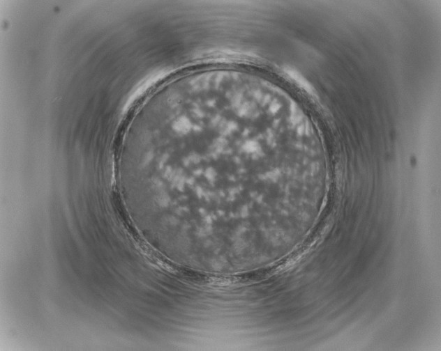 X0000087411267200705111842