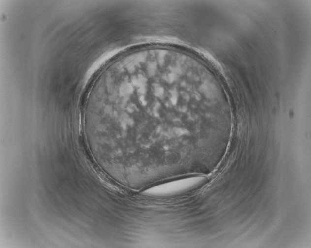 X0000087411271200705111842