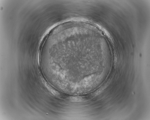 X0000087411272200705111842