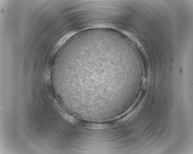 X0000087411273200705111842