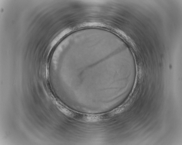 X0000087411274200705111842