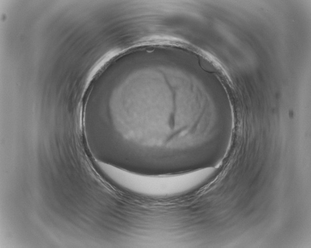 X0000087411275200705111842