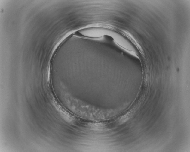 X0000087411276200705111842