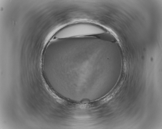 X0000087411279200705111842