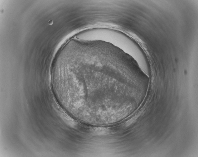 X0000087411280200705111842