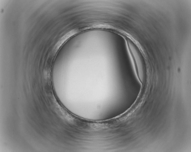 X0000087411281200705111842