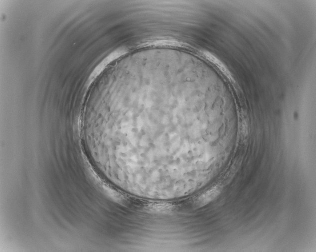 X0000087411282200705111842