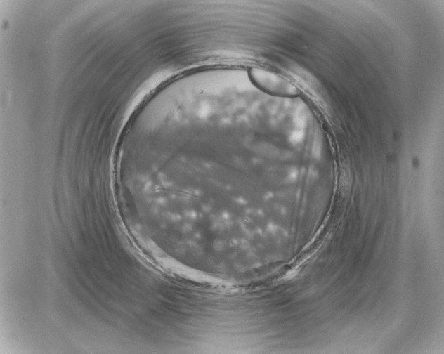 X0000087411283200705111842