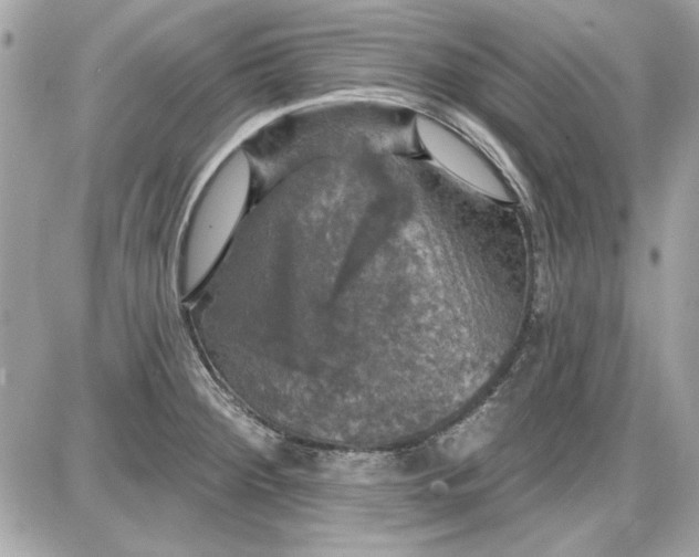 X0000087411284200705111842