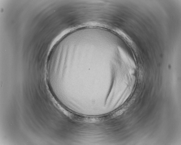 X0000087411286200705111842