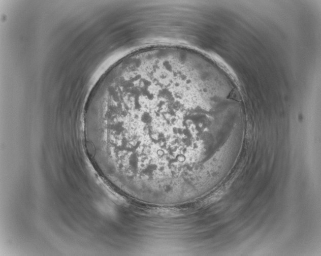 X0000087411287200705111842