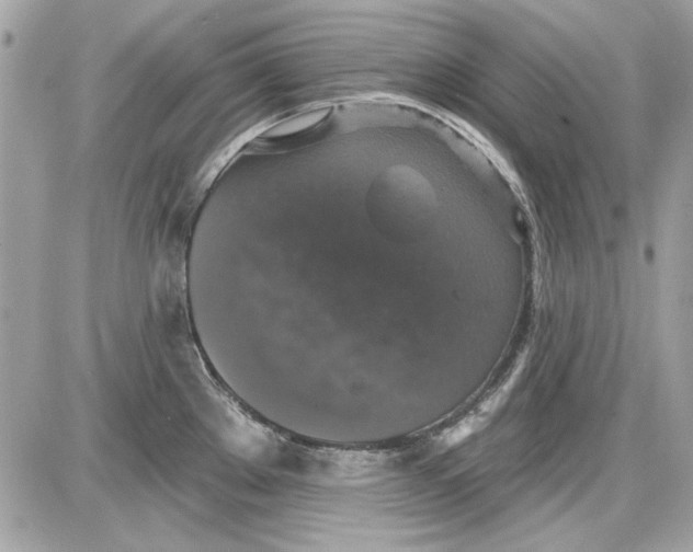 X0000087411289200705111842