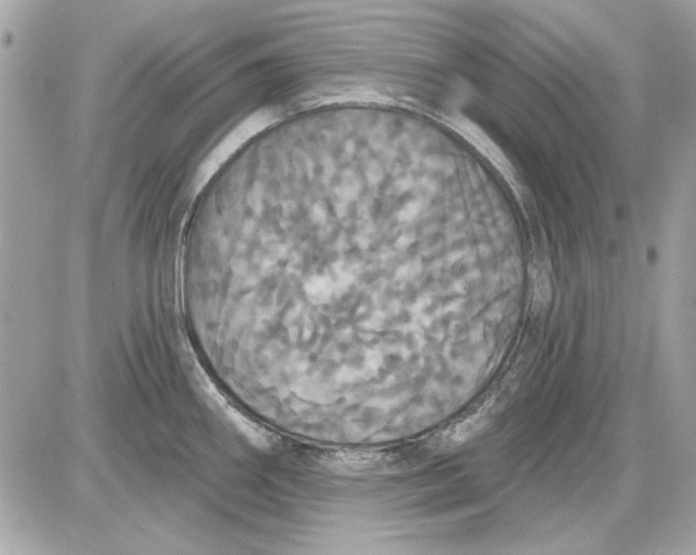 X0000087411290200705111842