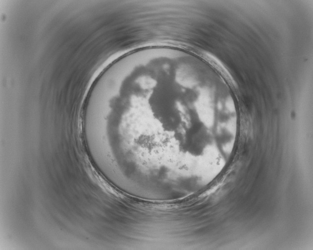 X0000087411292200705111842