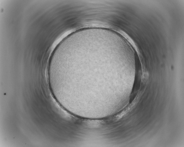 X0000087411293200705111842