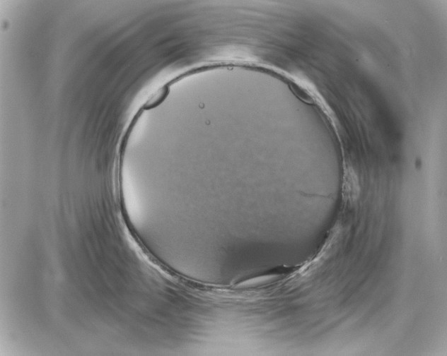 X0000087411295200705111842