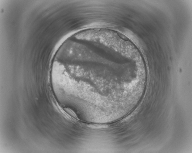 X0000087411296200705111842