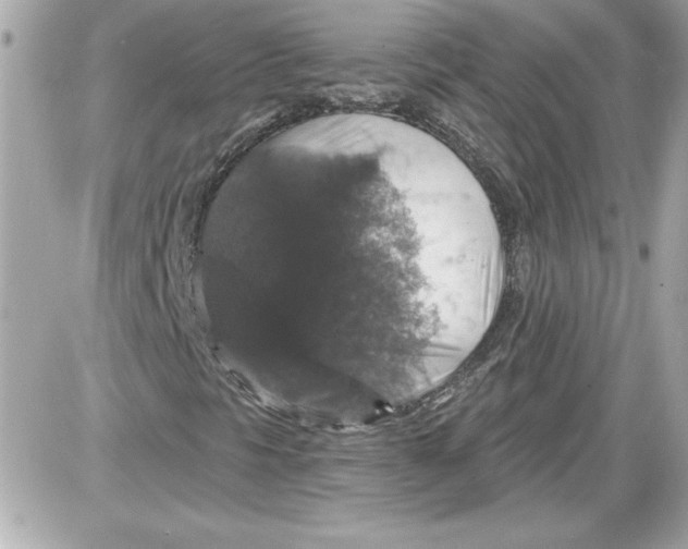 X0000087411297200705111841