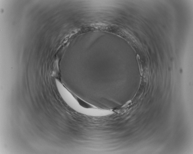 X0000087411298200705111841