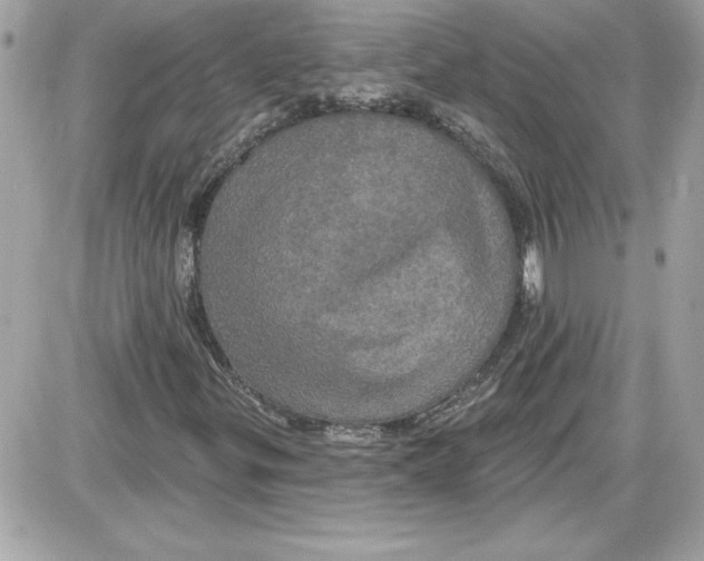 X0000087411299200705111841