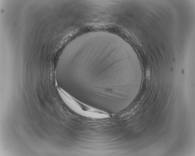 X0000087411300200705111841