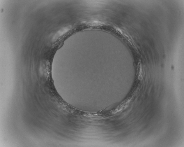 X0000087411301200705111841