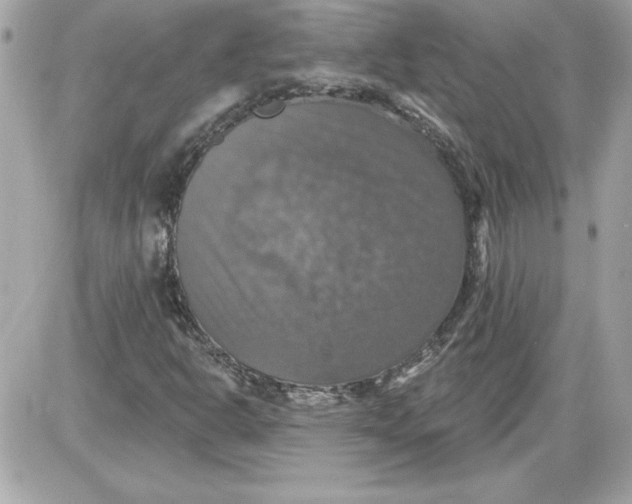 X0000087411302200705111841