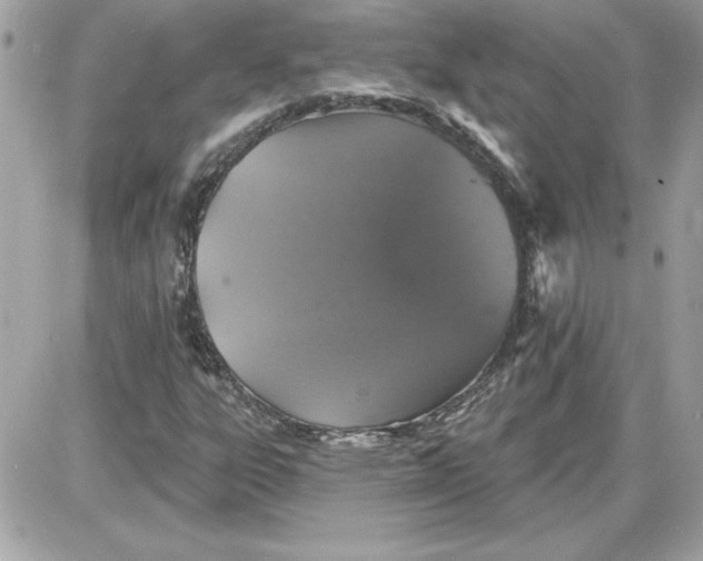 X0000087411303200705111841