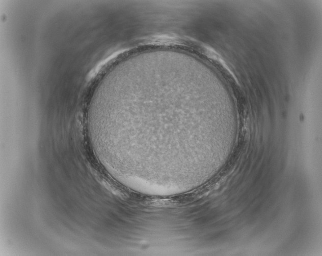 X0000087411304200705111841