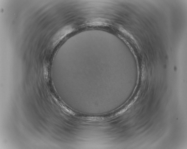 X0000087411305200705111841