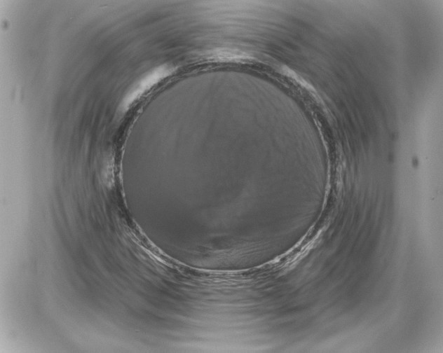 X0000087411306200705111841