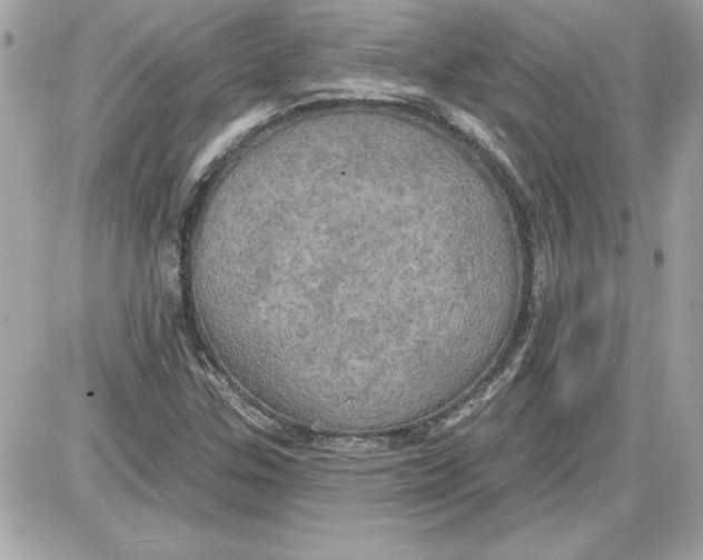 X0000087411307200705111841